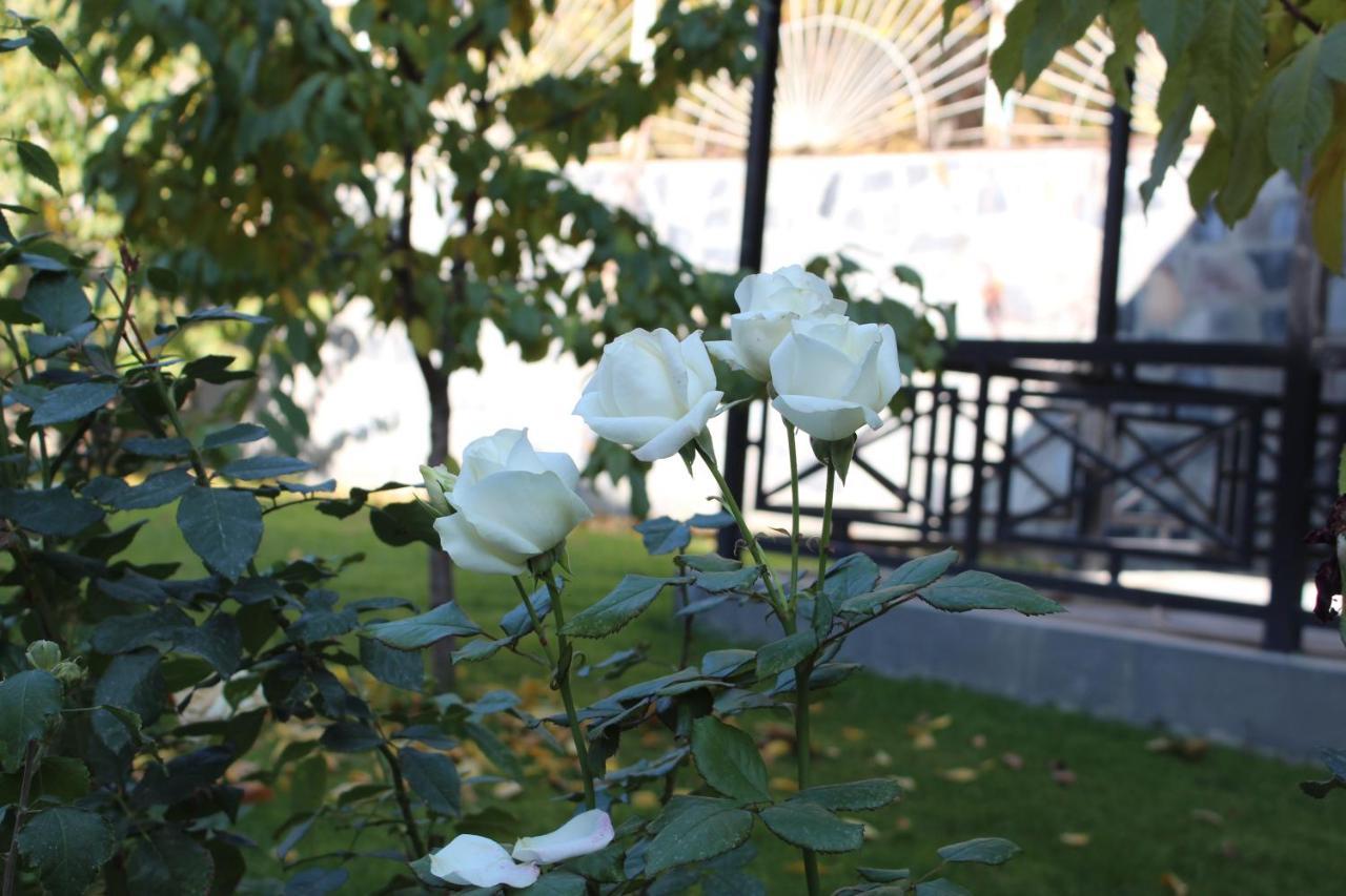 Cherry Garden Boutique Hotel Jechegnadzor Buitenkant foto